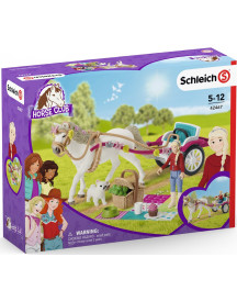 CALECHE POUR LE SPECTACLE EQUESTRE
