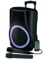 TROLLEY ENCEINTE BOOMER 31CM 2 MICROS TE