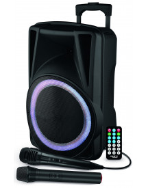 TROLLEY ENCEINTE BOOMER 31CM 2 MICROS TE