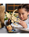 LES FOSSILES : LE CRANE DU TRICERATOPS