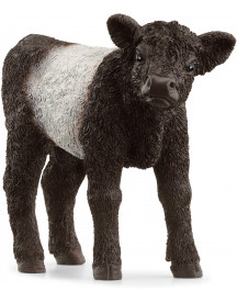 VEAU GALLOWAY