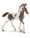 POULAIN TINKER