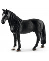 HONGRE TENNESSEE WALKER