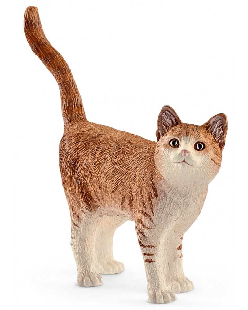 CHAT