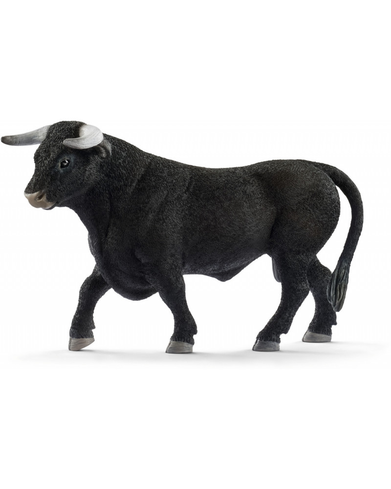TAUREAU NOIR