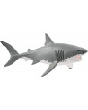 REQUIN BLANC