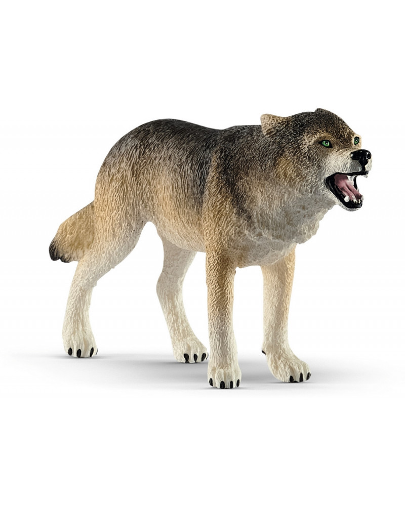 LOUP