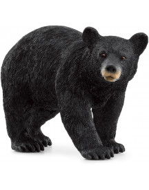 OURS NOIR D'AMÉRIQUE