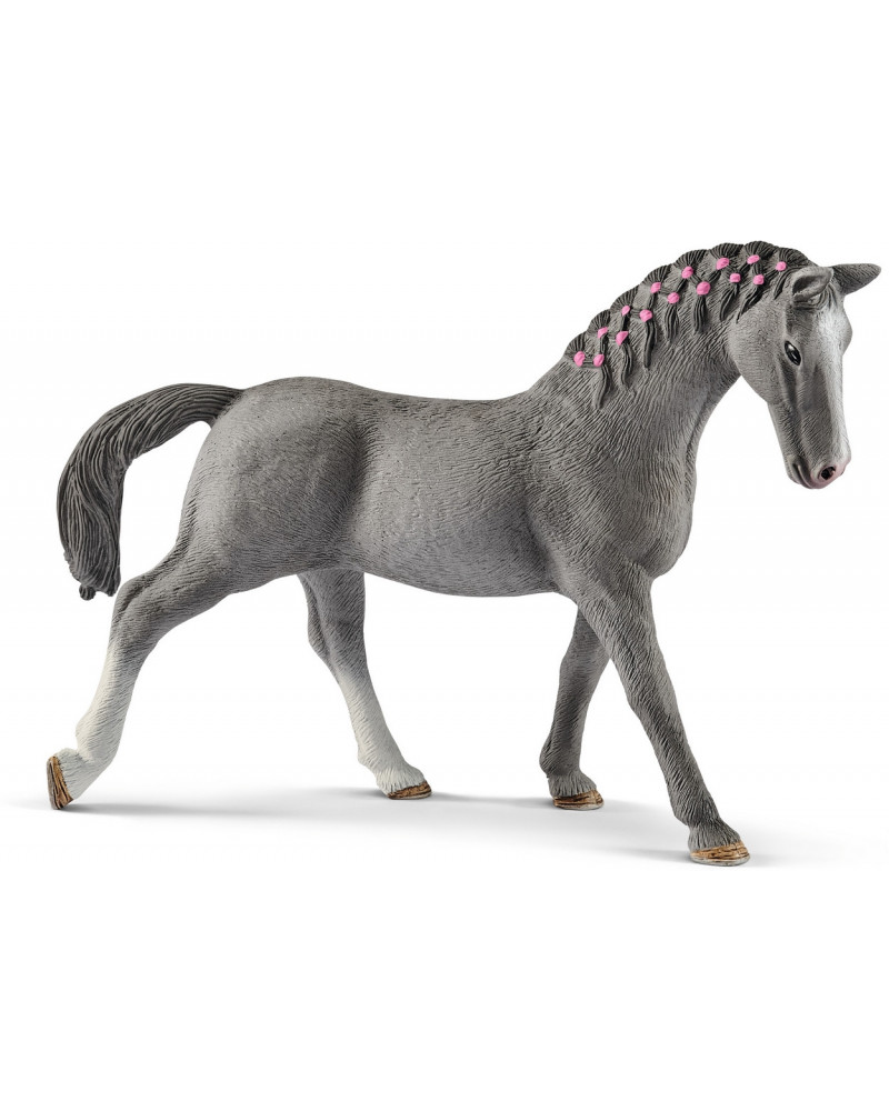 JUMENT TRAKEHNEN