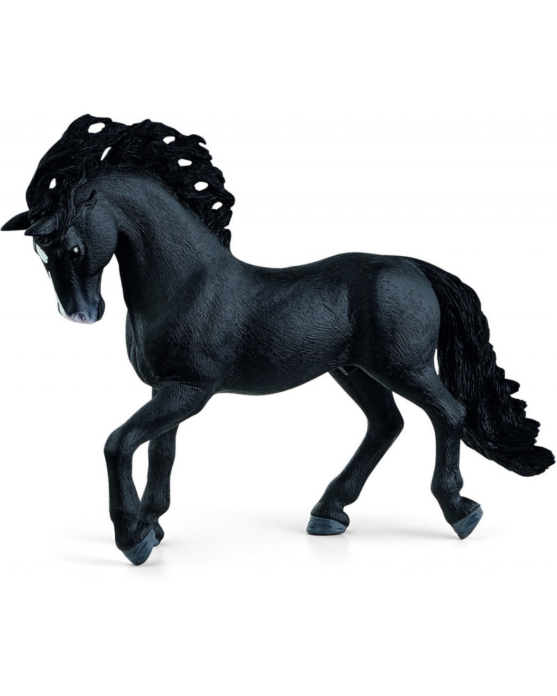 ETALON PURE RACE ESPAGNOLE