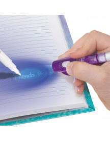 JOURNAL INTIME ISADORA