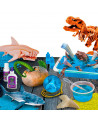 CRAZY SCIENCE REQUINS ET DINOSAURES