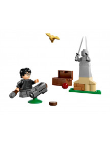 LA LECON DE QUIDDITCH
