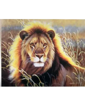 PPN 40X50 LION DANS LA SAVANE + CHASSIS  40 x 50 H cm. Inclus : toi...