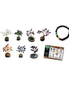 COFFRET 1 BRACELET ET 7 ARBRES DU BIEN