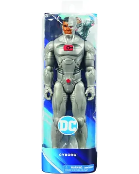 DC COMICS FIG. 30CM  30 cm. Au choix. SPN6056278 SPINMASTER Âge Min...