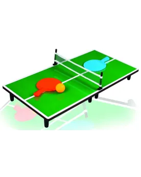 BOITE PING PONG DE TABLE   IME13099  Âge Minimum: 5A -Âge Maximum: ...