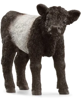 VEAU GALLOWAY   SCL13969 SCHLEICH Âge Minimum: 5A -Âge Maximum: 12A...