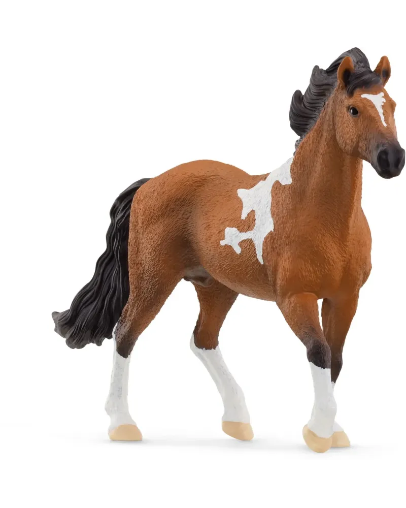 MANGALARGA MARCHADOR ÉTALON   SCL13978 SCHLEICH Âge Minimum: 5A -Âg...