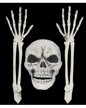 SQUELETTE A SUSPENDRE  -30.00% appliqué lors de la finalisation de ...