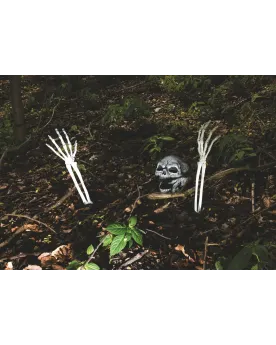 SQUELETTE A SUSPENDRE  -30.00% appliqué lors de la finalisation de ...