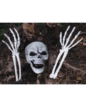 SQUELETTE A SUSPENDRE  -30.00% appliqué lors de la finalisation de ...