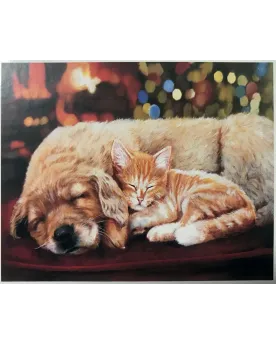 PPN 50X40 SIESTE ENTRE AMIS + CHASSIS  40 x 50 H cm. Inclus : toile...