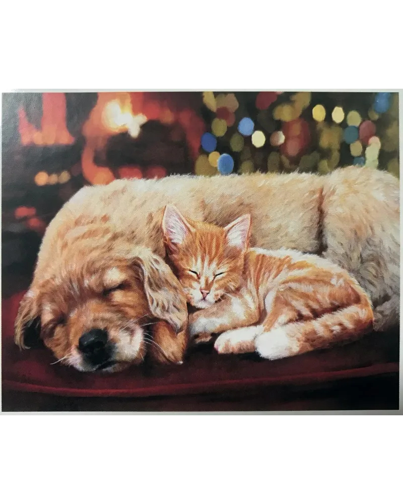 PPN 50X40 SIESTE ENTRE AMIS + CHASSIS  40 x 50 H cm. Inclus : toile...