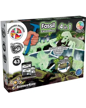 4 DINOS GLOW IN THE DARK A EXCAVER 4 activités pour découvrir les f...