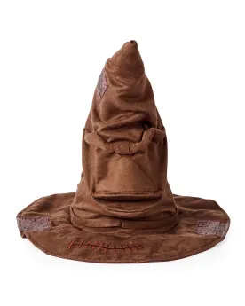 HARRY POTTER LE CHOIXPEAU  15 phrases, des détails authentiques et ...