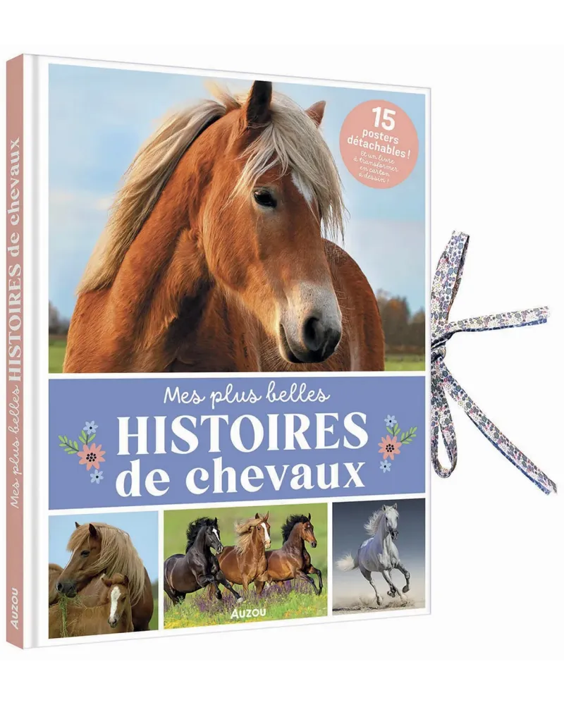 MES PLUS BELLE HISTOIRE DE CHEVAUX