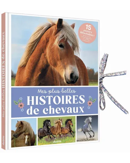 MES PLUS BELLE HISTOIRE DE CHEVAUX