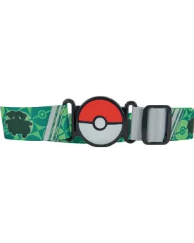 POKEMON CEINTURE + 2 BOULES + PERS.