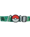 POKEMON CEINTURE + 2 BOULES + PERS.