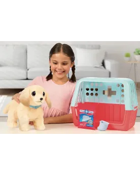 LIVE PETS CAGE + CHIEN SE CASSE LA PATTE