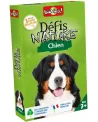 DEFIS NATURE CHIENS