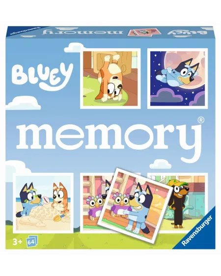 MEMORY BLUEY