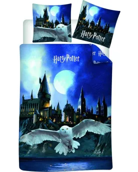 HOUSSE COUETTE POLYCOTON HARRY P. EDWIDG  Housse : 140 x 200 cm + 1...