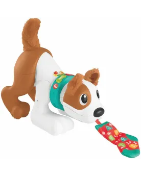 CRAWL WITH ME PUPPY  Tire sur la chaussette de Puppy, il remue son ...