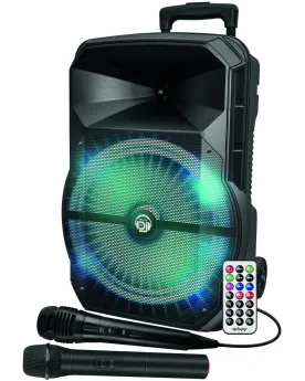 TROLLEY ENCEINTE BOOMER 31CM 2 MICROS TE Enceinte trolley avec lumi...