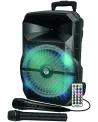 TROLLEY ENCEINTE BOOMER 31CM 2 MICROS TE Enceinte trolley avec lumi...