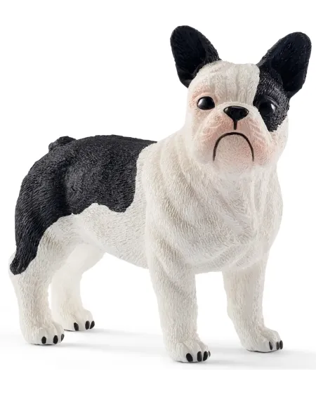 BOULEDOGUE FRANÇAIS   SCL13877 SCHLEICH Âge Minimum: 5A -Âge Maximu...