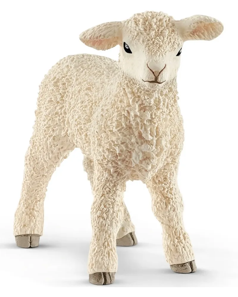 AGNEAU   SCL13883 SCHLEICH Âge Minimum: 5A -Âge Maximum: 12A -Score...