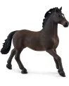 ETALON OLDENBOURG   SCL13946 SCHLEICH Âge Minimum: 5A -Âge Maximum:...