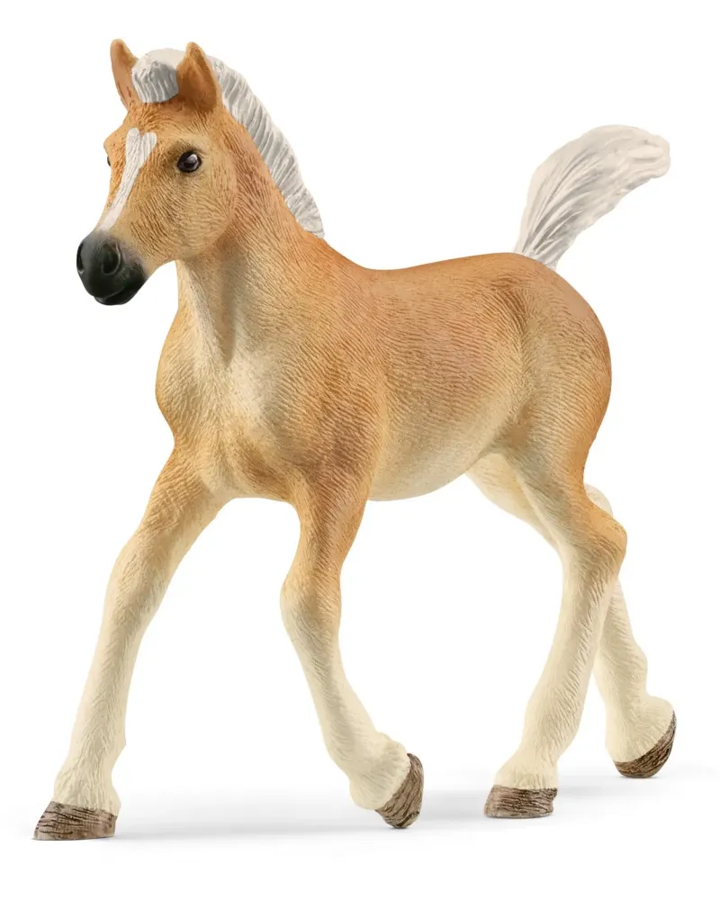 POULAIN HAFLINGER   SCL13951 SCHLEICH Âge Minimum: 5A -Âge Maximum:...