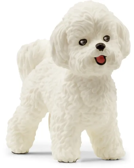 BICHON FRISE   SCL13963 SCHLEICH Âge Minimum: 5A -Âge Maximum: 12A ...