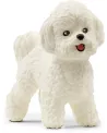 BICHON FRISE   SCL13963 SCHLEICH Âge Minimum: 5A -Âge Maximum: 12A ...