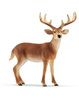 CERF DE VIRGINIE   SCL14818 SCHLEICH Âge Minimum: 5A -Âge Maximum: ...