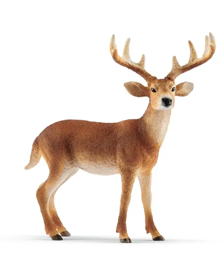 CERF DE VIRGINIE   SCL14818 SCHLEICH Âge Minimum: 5A -Âge Maximum: ...