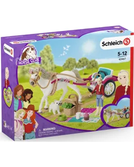 CALECHE POUR LE SPECTACLE EQUESTRE  Clara a magnifiquement bien déc...